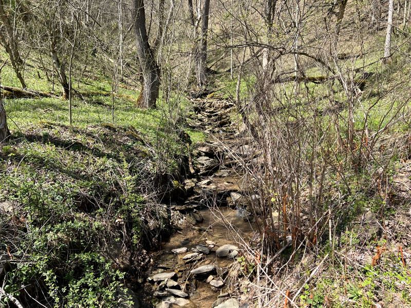 12 Acres in Marshall County, WV : Cameron : Marshall County : West Virginia