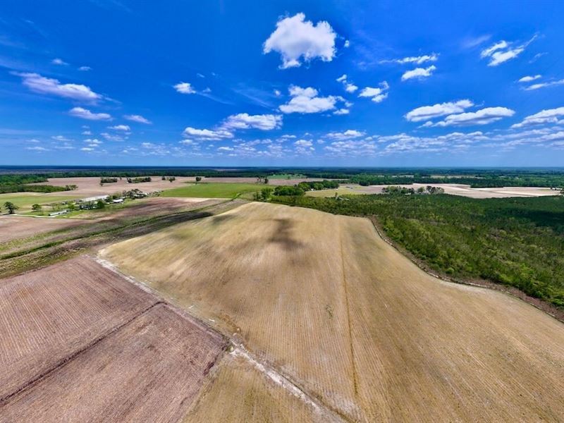 18.05 Acres of Multi-Use Land : Trenton : Jones County : North Carolina