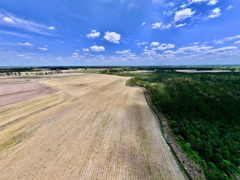 19.95 Acres of Multi-Use Creek Fron : Trenton : Jones County : North Carolina