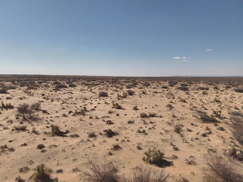 Investment Opportunity, 40.53 Acres : Fort Hancock : Hudspeth County : Texas
