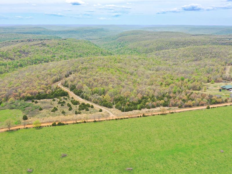 Nature's Canvas, Your Future in AR : Alpena : Carroll County : Arkansas