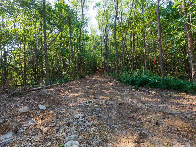 No Credit Check/$999 Down : Clifton : Wayne County : Tennessee