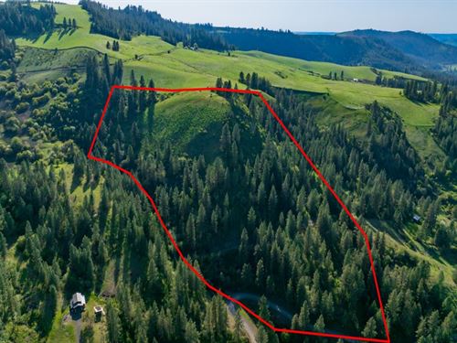 Lenore Lookout : Lenore : Nez Perce County : Idaho