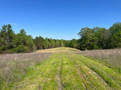 108 Acre Fayette County Recreat : Bankston : Fayette County : Alabama