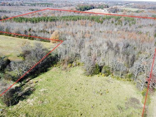 Hatton Homesite Tract 4 / Divisions : Town Creek : Lawrence County : Alabama