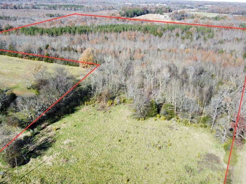 Lawrence County Homesite Tract 4A : Town Creek : Lawrence County : Alabama