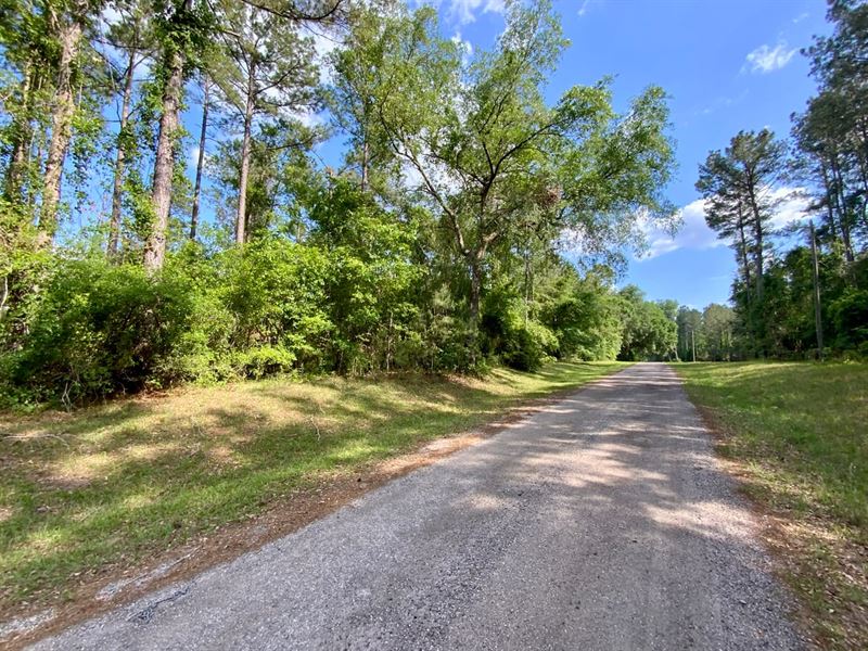 10.5 Acres on Paradise Way : Greenville : Madison County : Florida