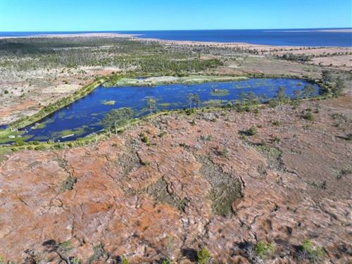 Updated, 455 Acre Bridgehouse Duc : Hobucken : Pamlico County : North Carolina