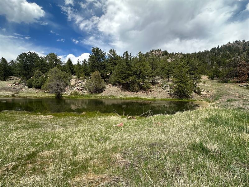 Sunrise Ridge Ranch : Florissant : Teller County : Colorado