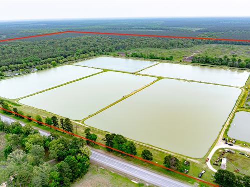 Catfish Reserve & Recreational Land : Clarksville : Red River County : Texas