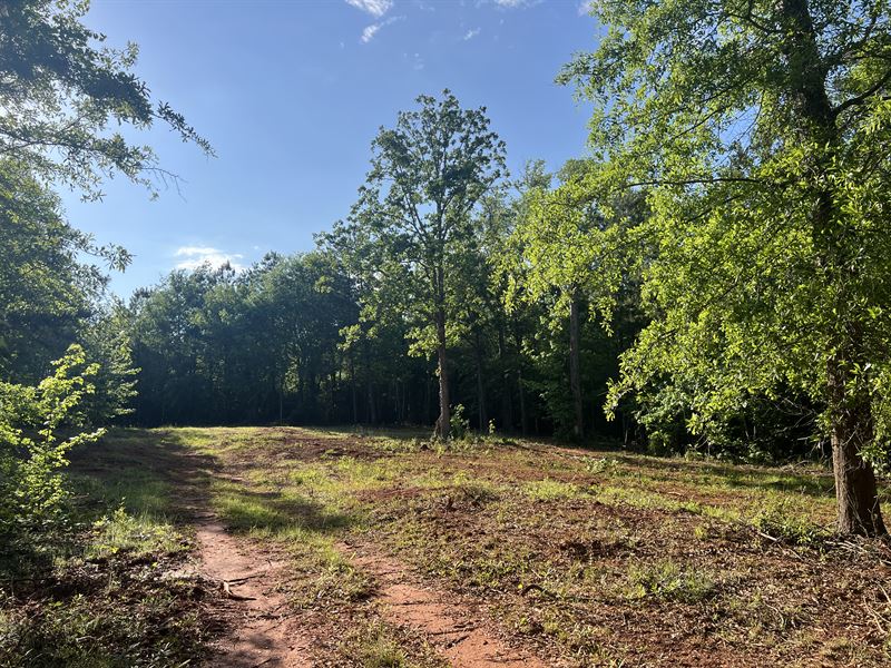 Broadway Lake Lot 2 : Anderson : Anderson County : South Carolina