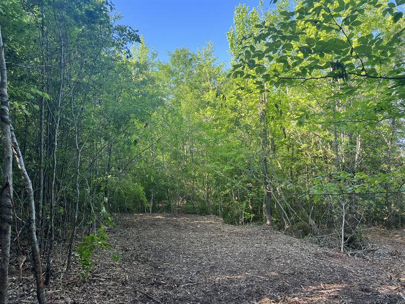 Broadway Lake Lot 3 : Anderson : Anderson County : South Carolina