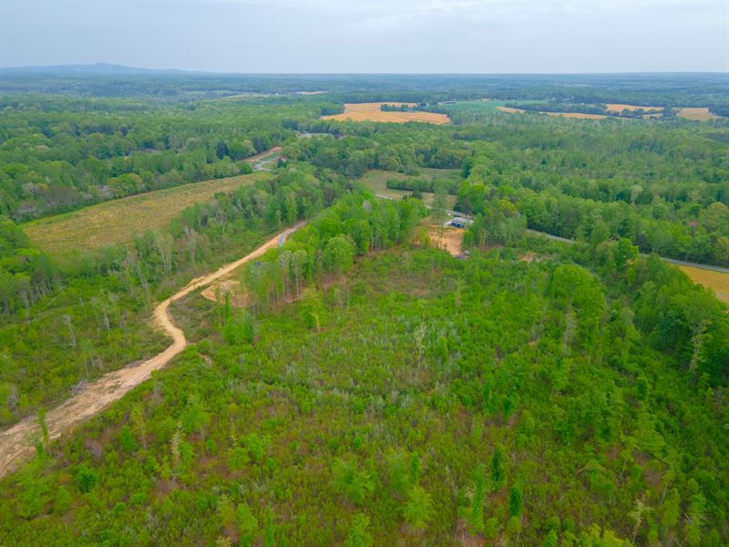 4.999 Acres in Orange County VA : Orange : Orange County : Virginia