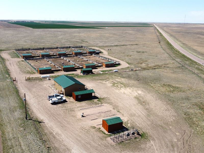 Real Western Wings : Kimball : Kimball County : Nebraska
