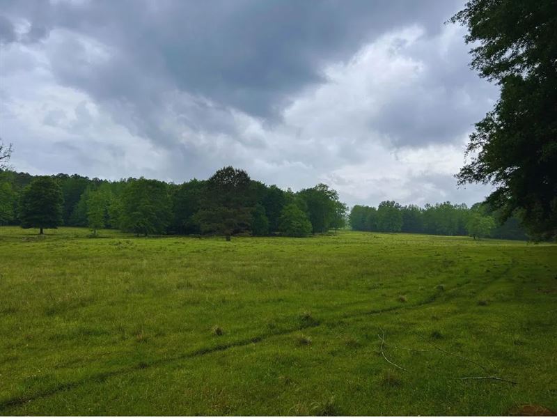 103 Acres in Lauderdale County : Lauderdale : Lauderdale County : Mississippi