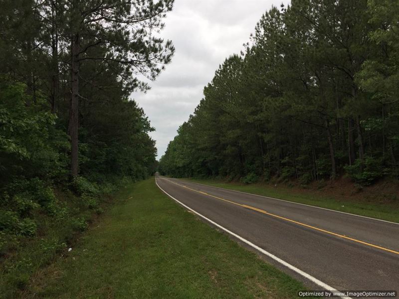 Perfect Hunting Tract : Ruth : Lincoln County : Mississippi