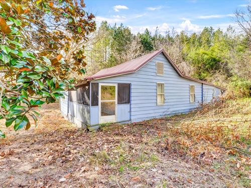 16 Unrestricted Acres in Mosheim TN : Mosheim : Greene County : Tennessee