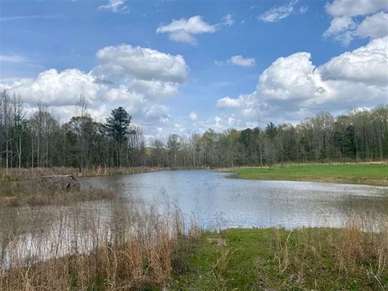 200 Acres Montgomery Co : Kilmichael : Montgomery County : Mississippi