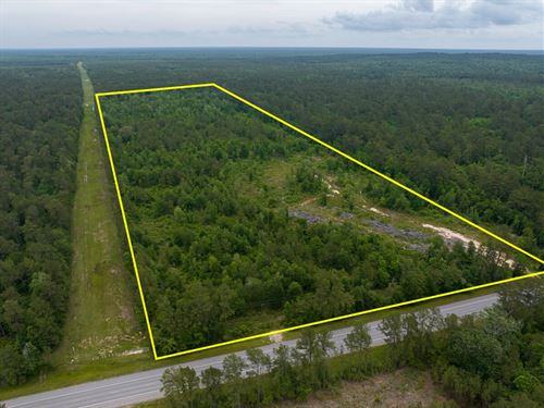 48 Acres, Highway 105 : Cleveland : Liberty County : Texas