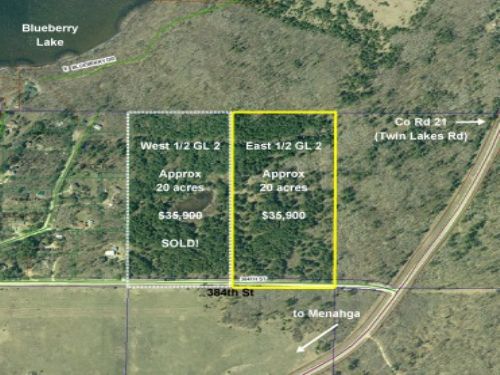 Wadena, Blueberry, 1383511, E2gl2 : Menahga : Wadena County : Minnesota