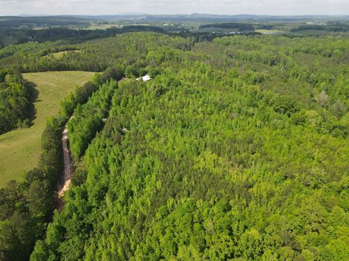 18 Acres Store Rd : Ashland : Clay County : Alabama