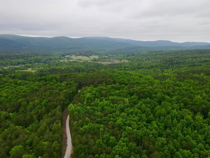 Cheaha Mtn Preserve 165 Acres : Delta : Clay County : Alabama