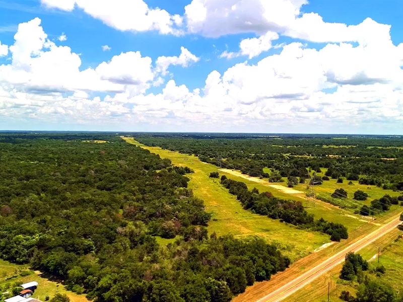 Beautiful 10 Acre Tracts for Sale : Wortham : Freestone County : Texas