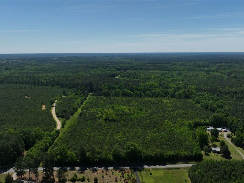 27.39 Acres in Brunswick County VA : Alberta : Brunswick County : Virginia