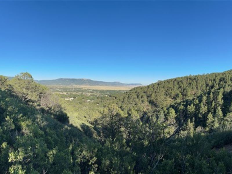 On-Line Auction Begins August : Lyons : Boulder County : Colorado