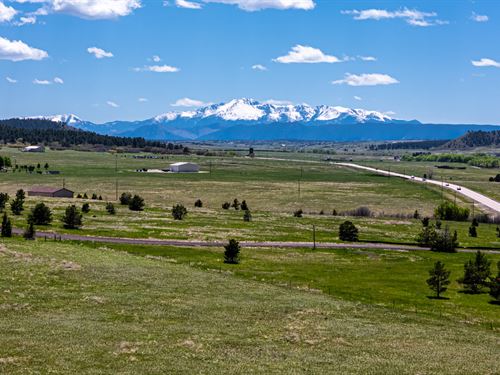 Hwy 83 Spring 40 : Franktown : Douglas County : Colorado
