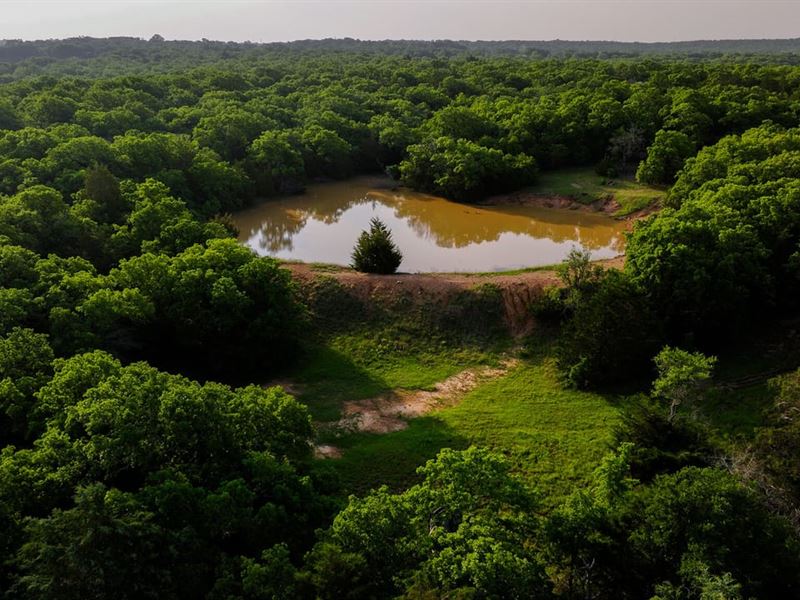 Timber Ridge Ranch 159.2 Acre in Bo : Bowie : Montague County : Texas