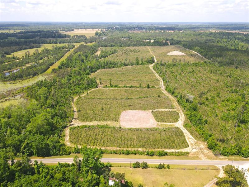 58+ Acres, Prime Hunting Land : Sneads : Jackson County : Florida