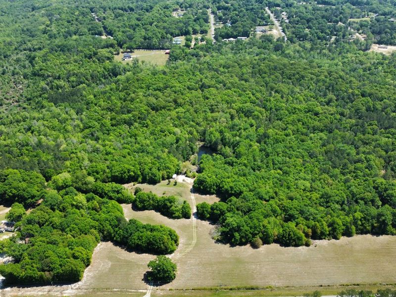 26 Acres Seale, AL : Seale : Russell County : Alabama