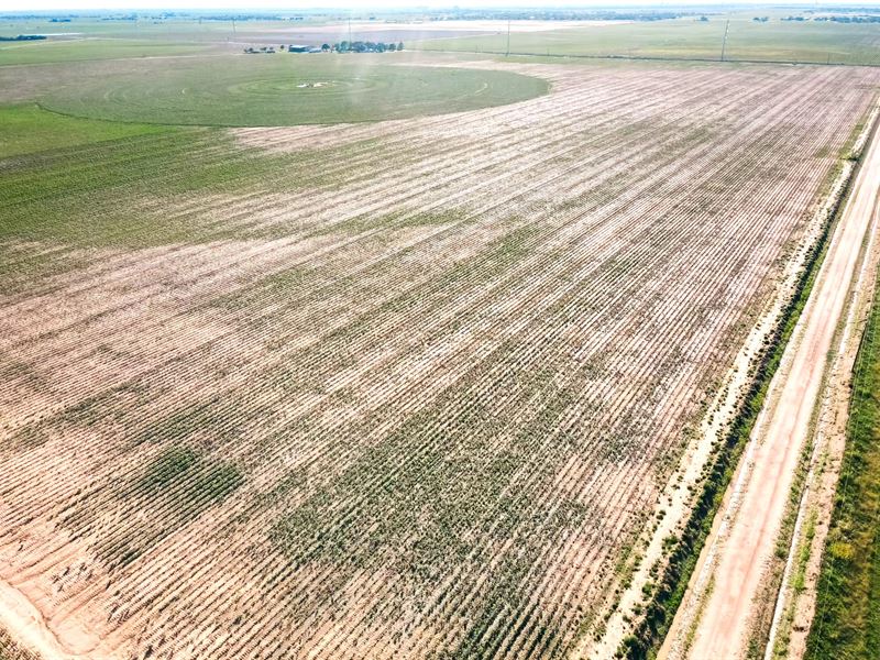 Cheapest 10 Acre Tracts in Lubbock : Lubbock : Lubbock County : Texas