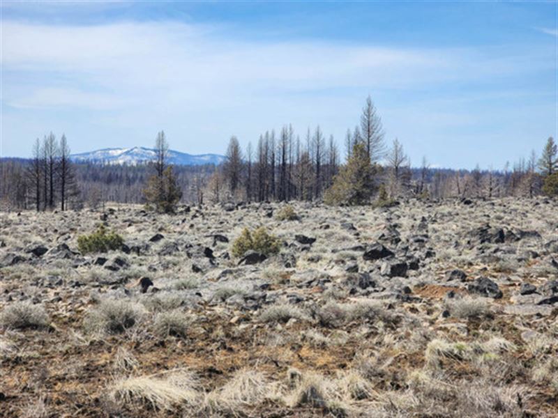Build Your Dream Life Here : Bly : Klamath County : Oregon