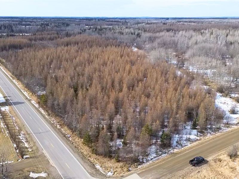 Hunting & Recreational Land : Forbes : Saint Louis County : Minnesota