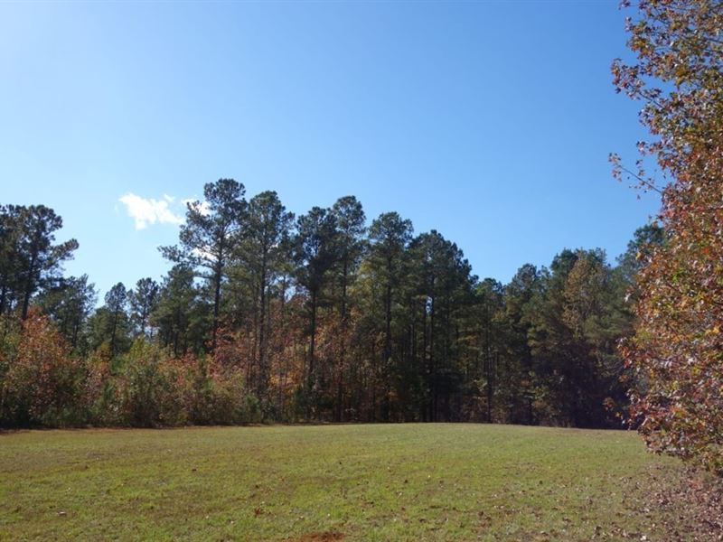 Great North Tract, Recreational Ti : Winnsboro : Fairfield County : South Carolina