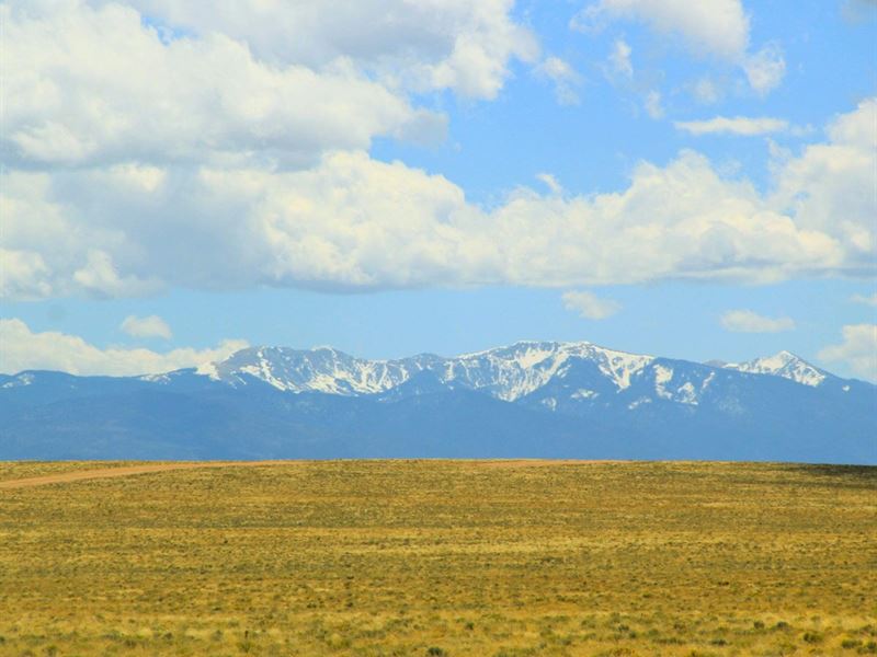 Escape to Your Own Mtn Paradise : Mesita : Costilla County : Colorado