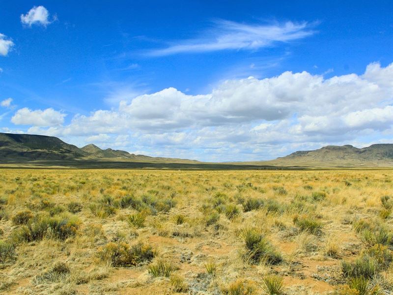 Escape to Your Own Mtn Paradise : Mesita : Costilla County : Colorado