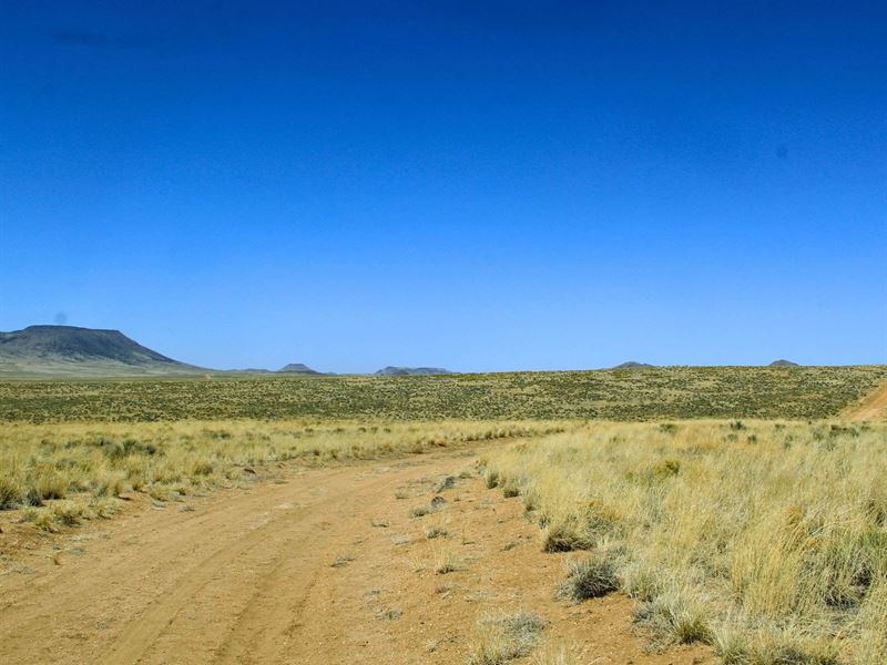 Claim Your Rocky Mountain Basecamp : Sanford : Costilla County : Colorado