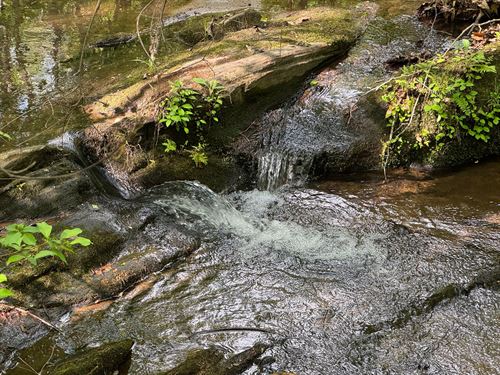 35.85 Acre, Churchilll Road, Ta : Camp Hill : Tallapoosa County : Alabama