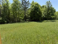 Banks 47 Acres : Banks : Pike County : Alabama