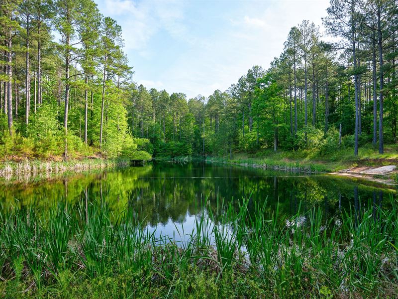Bobcat Tract : Carlton : Oglethorpe County : Georgia