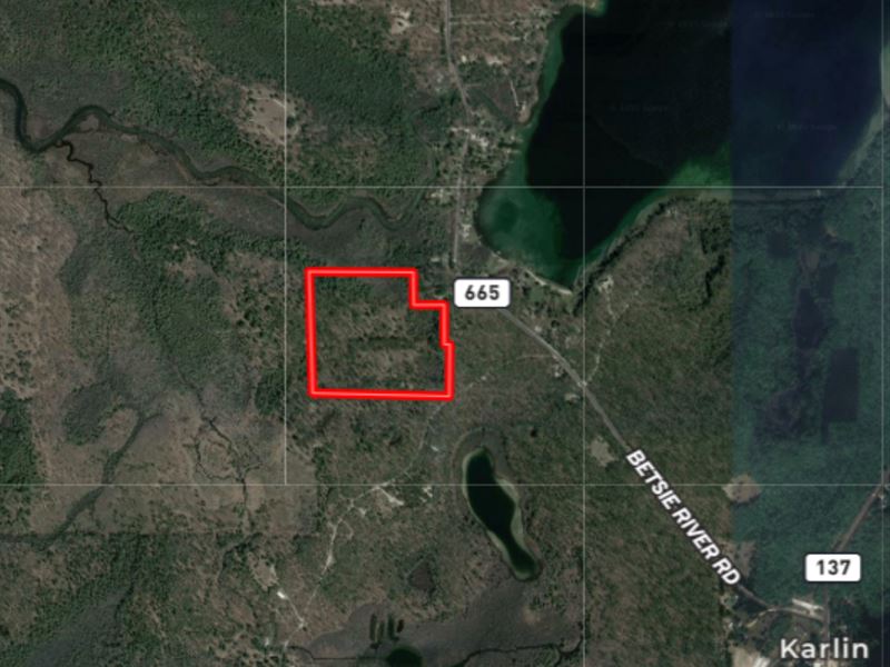 36.57 Acres in Interlochen, MI : Interlochen : Grand Traverse County : Michigan