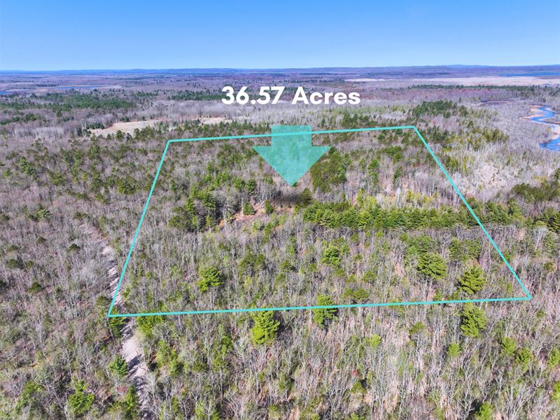 36.57 Acres in Interlochen, MI : Interlochen : Grand Traverse County : Michigan