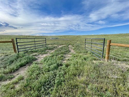 Kiowa 39'S : Kiowa : Elbert County : Colorado