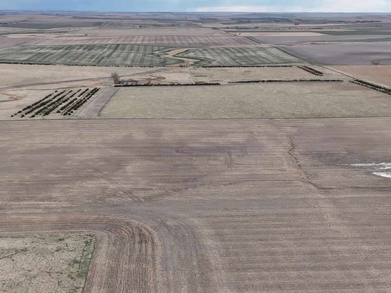 North Presho 123 : Presho : Lyman County : South Dakota