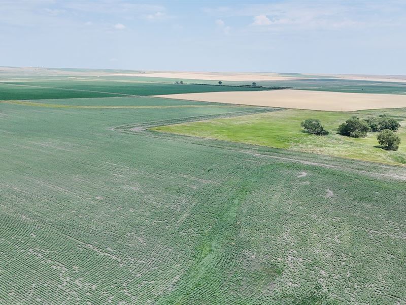 North Presho 123 : Presho : Lyman County : South Dakota