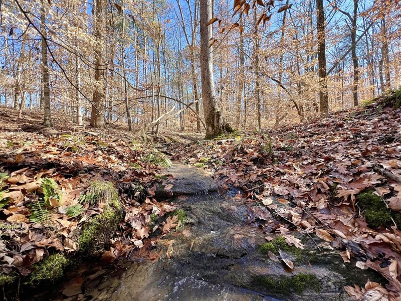 Country Home, Creek, & Recreation : Elberton : Elbert County : Georgia