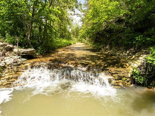 Beautiful Farm, Home & Live Water : Willow Springs : Texas County : Missouri
